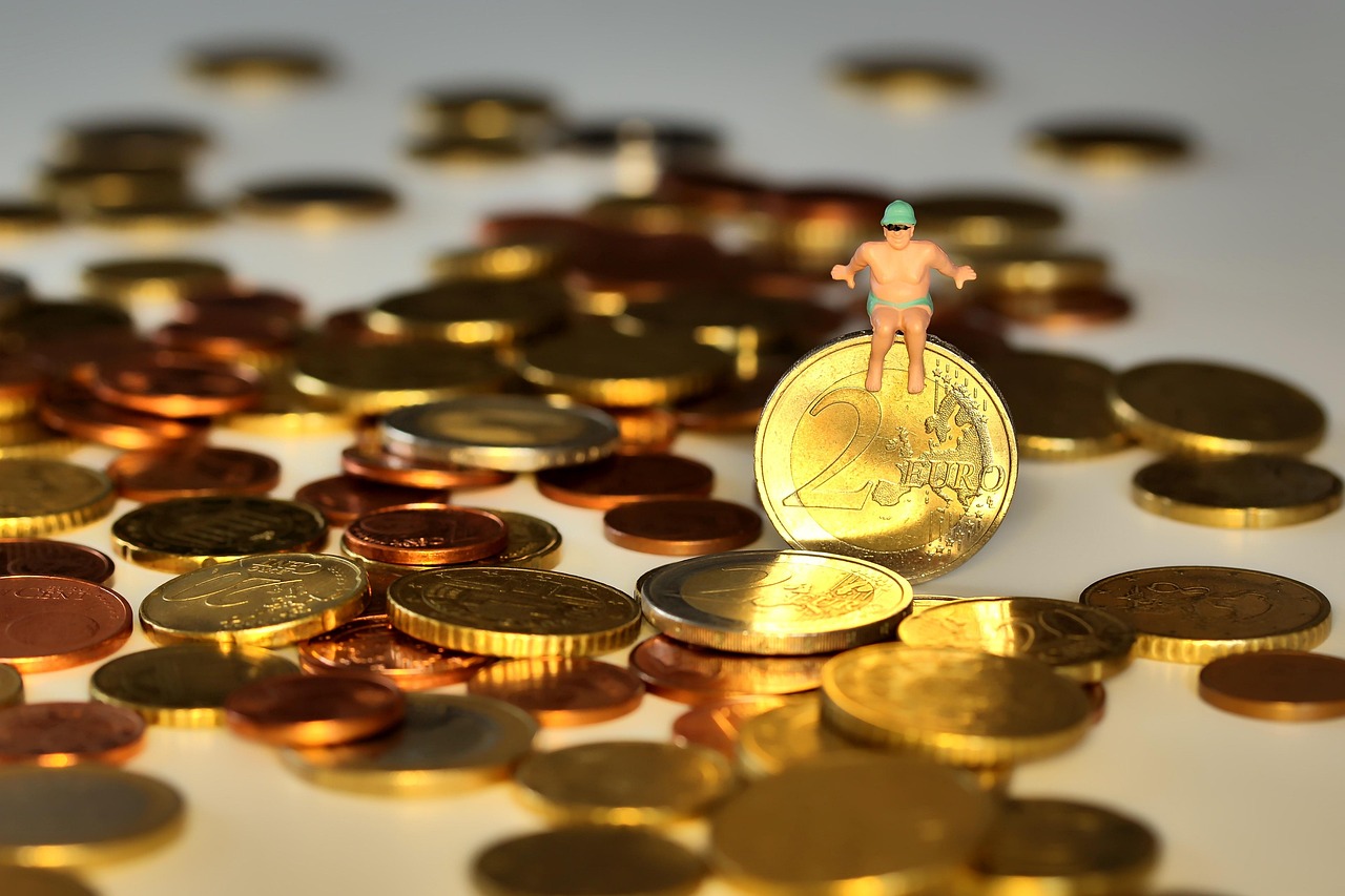 money, swim, in-the-money swim, rich, coins, euro, cent, happiness, gift, birthday card, greeting ca